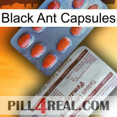 Black Ant Capsules 36